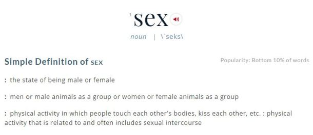 Define Sexual Activity 101